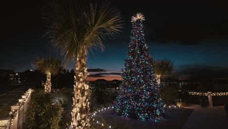 Colorful-illuminated-Christmas-and-palm-tree-lights-against-nightsky