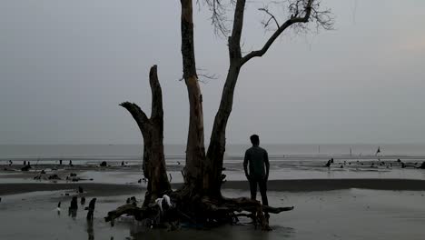 Sad-Scene-of-a-Depressed-Man-Staring-Far-Next-to-a-Dead-Tree-on-Beach