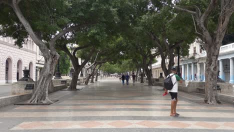 Paseo-del-Prado-boulevard-and-street-in-Havana,-Cuba-covered-by-trees