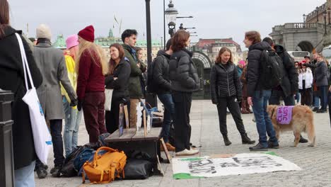 Greta-Thunberg-Und-Fridays-For-Future-Demonstranten-Sprechen-Bei-Kundgebung-In-Schweden