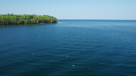 Vuelo-Con-Drones-Sobre-Una-Bandada-De-Gaviotas-En-El-Condado-De-Door,-Wisconsin