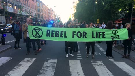 Protesters-hold-"Rebel-for-Life"-banner-at-demonstration,-handheld