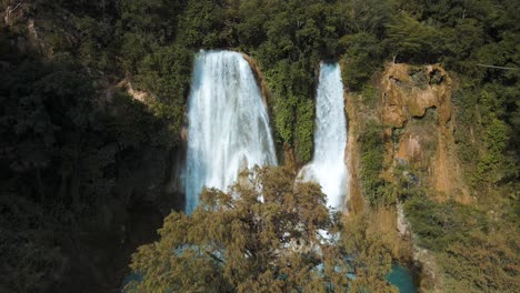 Spectacular-waterfall-scenery-in-the-Mexican-jungle-with-a-magnificent-tree-growing-in-front-of-a-turquoise-pond,-drone-shot