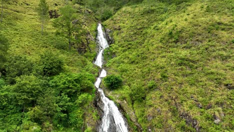 Die-Umgebende-Vegetation-Trägt-Zur-Ruhe-Der-Wasserfallbewegung-Bei