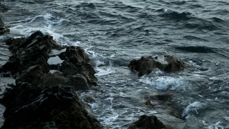 Waves-splash-nature-norway-northern-norway-andoy-andøya-andenes