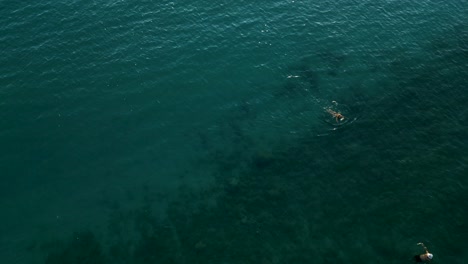 Woman-Swimming-in-the-sea-towards-the-shore-on-a-summer-day-while-on-vacation