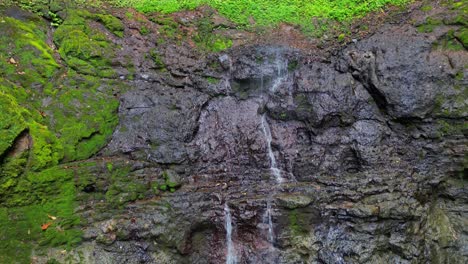 View-from-water-running-at-Oque-Pipi-waterfall-at-Prince-Island,São-Tomé,Africa