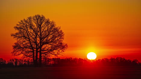 Time-lapse-of-a-colorful-spring-sunrise-behind-leafless-countryside-trees