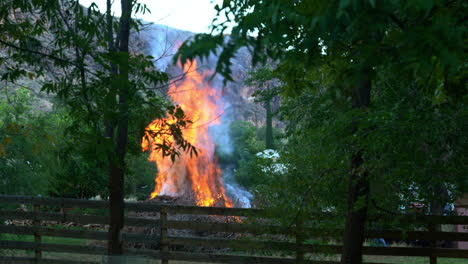 Controlled-Pile-Burning-for-Wildfire-Prevention-in-a-Forest