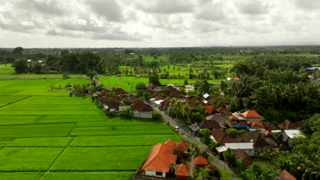 Modern-and-luxury-houses-in-rice-fields-area,-Bali-in-Indonesia