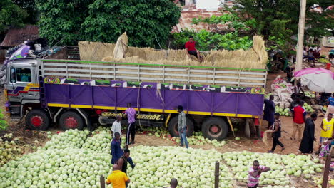 Riesiger-Haufen-Geernteter-Wassermelonen-Auf-Einem-Bauernmarkt-In-Makurdi,-Nigeria---Luftaufnahme