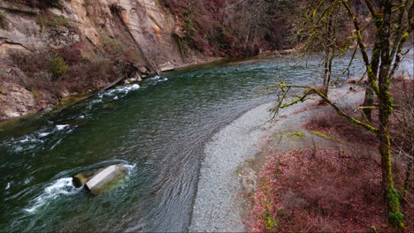 Pacific-Northwest-aerial-stationary-shot-of-fast-flowing-Cedar-river-with-moss-tree-and-river-bank-in-Washington-state