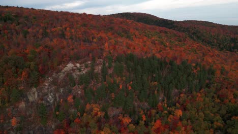 Vista-Aérea-Sobre-Un-Colorido-Bosque-Canadiense-En-Otoño-En-La-Provincia-De-Quebec,-Mont-Sourire,-Saint-Donat,-Provincia-De-Quebec,-Canadá