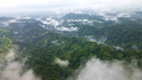 Las-Exuberantes-Selvas-Tropicales-De-Indonesia,-Repletas-De-Biodiversidad-Y-Paisajes-Impresionantes.