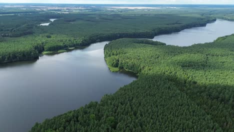 majestic-lake-in-european-forest-green-sunny-day-aerial-circulating-view