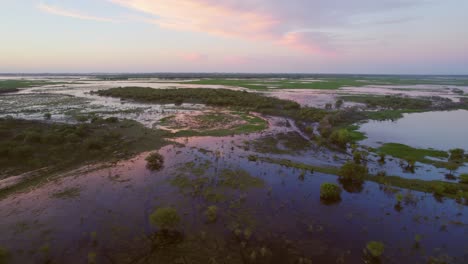 Flying-over-lagoons,-swamps-and-wetlands-full-of-green-vegetation-and-birds-at-sunset-in-Santa-fe,-Argentina