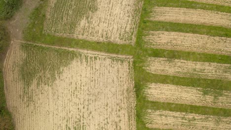 Vista-Aérea-De-Arriba-Hacia-Abajo-Del-Patrón-De-Campos-De-Cultivo,-Tiro-Ascendente