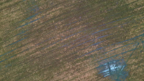 Aerial-frozen-ground-short-grass,-car-tyres-signs-marks-Drop-down-view