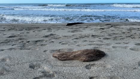 A-serene-beach-with-waves-and-driftwood