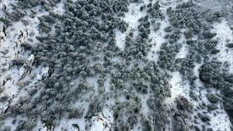 Toma-De-Arriba-Hacia-Abajo-De-Un-Bosque-Cubierto-De-Nieve-En-La-Ladera-De-Una-Montaña-En-Utah.