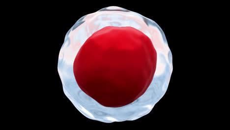 Los-Glóbulos-Rojos-Ven-Microscópicamente-Los-Eritrocitos-Fondo-Transparente-4k