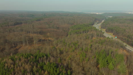 Polnische-Forstwirtschaft-In-Gelben-Und-Braunen-Farben-Neben-Der-Autobahn-Während-Nebliger-Tag