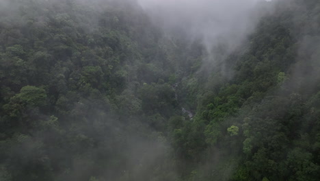 Aerial-views-over-the-thick-jungle-with-early-morning-mist-on-the-island-of-Lombok,-Indonesia