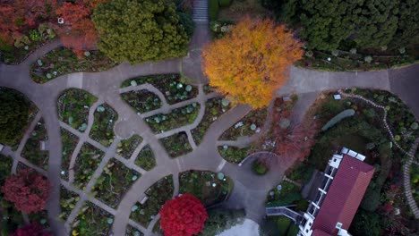 Ein-Lebendiges-Gartenlabyrinth-Mit-Verschiedenen-Pflanzen-Und-Einem-Gebäude,-Das-Die-Essenz-Des-Herbstes-Einfängt,-Luftaufnahme