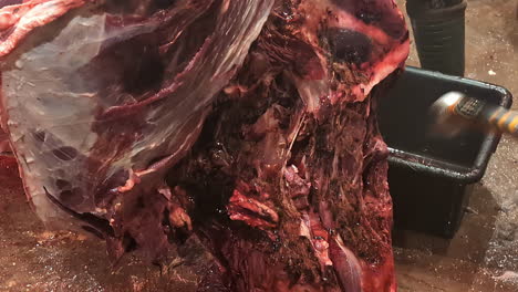 Washing-Beef-Carcass-To-Remove-Blood-At-Slaughterhouse