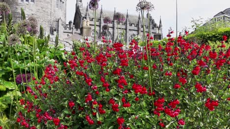 Rise-past-colorful-flowers-and-greenery-to-establish-Dublin-Castle-Ireland-on-overcast-day