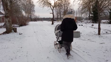 Madre-Con-Abrigo-Negro-Camina-Con-Cochecito-De-Bebé-En-Un-Camino-Nevado