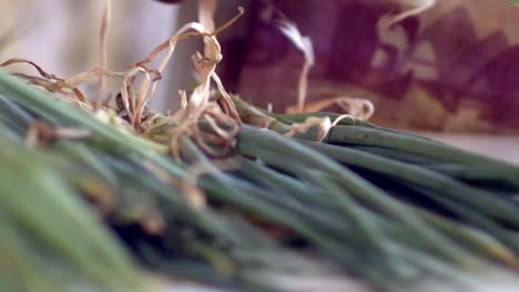 Grupos-De-Tallos-De-Plantas-Vegetales-Que-Se-Inspeccionan-Para-El-Consumo-Humano.