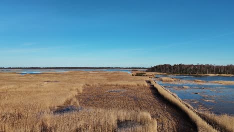 Wooden-Bords-Trail-Through-the-Kaniera-Lake-Reeds-Aerial-Spring-Shot-Lapmezciems,-Latvia