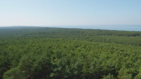 Ein-Panoramablick-Von-Der-Spitze-Des-Stilo-Leuchtturms-Auf-Den-üppigen-Grünen-Wald-Und-Die-Ostsee