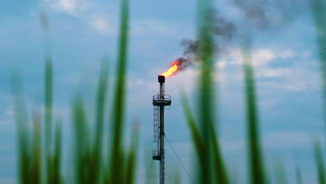 Petrochemischen-Schornstein-Brennen-Giftige-Gase-Emission-Ansicht-Zwischen-Pflanzenwachstum