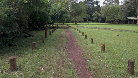 Ein-Ruhiger-Gehweg-In-Einem-üppig-Grünen-Park-In-Einem-Wald