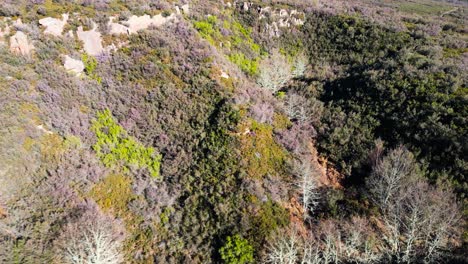 Minas-De-Os-Biocos-En-San-Xoan-De-Rio-Descripción-Aérea-Roca-Expuesta-Cubierta-De-Vegetación