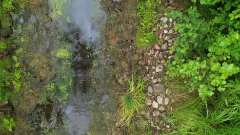 brook-dirt-road-water-lock-lake-aerial-dolly-fly