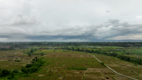Avance-Aéreo-Sobre-Campos-De-Arroz-En-El-Campo,-Bali-En-Indonesia