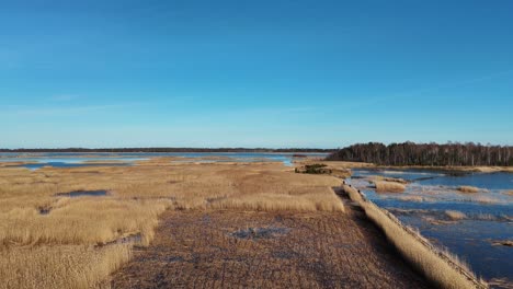 Wooden-Bords-Trail-Through-the-Kaniera-Lake-Reeds-Aerial-Spring-Shot-Lapmezciems,-Latvia