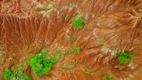 Marvel-at-the-resilience-of-life-as-hardy-vegetation-clings-to-existence-amidst-the-harsh-conditions,-adding-splashes-of-green-to-the-otherwise-arid-panorama