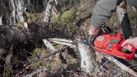 A-Man-is-Using-a-Chainsaw-to-Fell-Trees-for-the-Purpose-of-Using-Them-as-Firewood---Close-Up