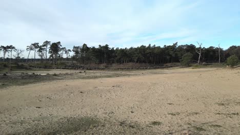 Bei-Kalthoutse-Heide-Fliegt-Eine-Drohne-über-Sand-In-Richtung-Wald-Und-Erhebt-Sich-Dann-über-Ihnen