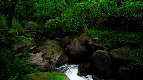 Cascada-En-Las-Montañas-Entre-La-Selva