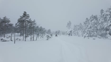 A-Man-Navigating-a-Snowmobile-in-a-Wintry-Terrain---Wide-Shot