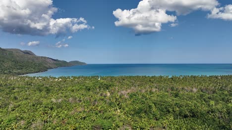 Explore-this-drone-flight-between-plantations-and-palm-trees-towards-the-paradisiacal-Boca-del-Diablo-beach-in-Samaná,-Dominican-Republic