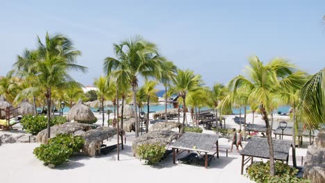 Wide-static-view-of-palm-trees-and-sunbeds-at-beach-resort-at-Curaçao