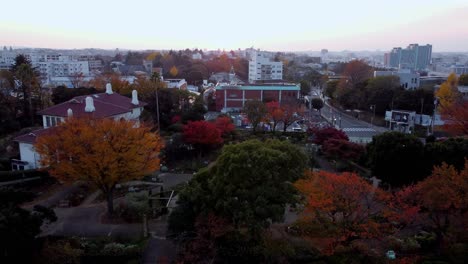 Ein-Lebendiger-Stadtpark-Bei-Sonnenuntergang-Mit-Herbstfarben,-Luftaufnahme