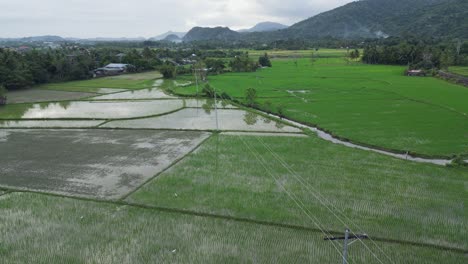 Vuela-Sobre-Un-Vasto-Paisaje-De-Tierras-Agrícolas-En-Una-Ciudad-Rural-Cerca-De-Virac,-Catanduanes,-Filipinas
