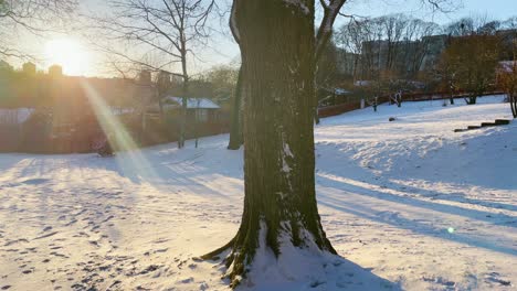 Parent-and-child-on-toboggan-in-sunlight-in-snowy-park-in-Stockholm